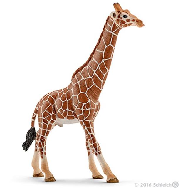 Schleich Žirafa - samec