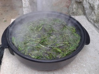 NARAVNA HRANA - ŠPARGLJI, BELUŠI