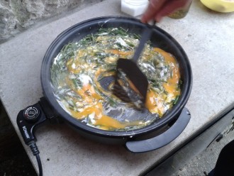 NARAVNA HRANA - ŠPARGLJI, BELUŠI