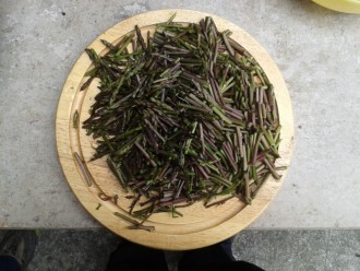 NARAVNA HRANA - ŠPARGLJI, BELUŠI