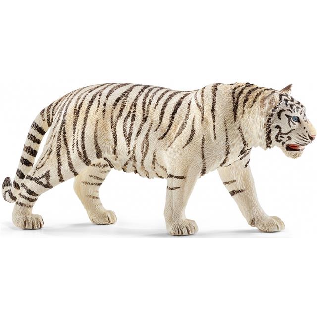 Tiger beli