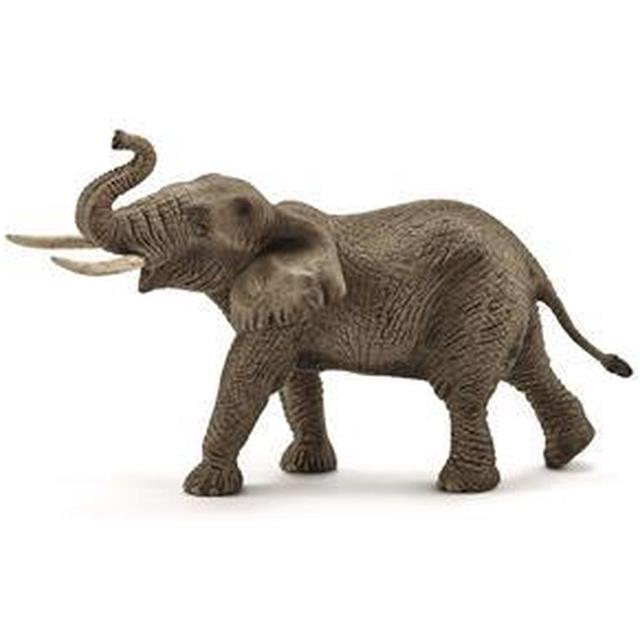 Slon Afriški, samec 19,5 cm x 9 cm x 12,3 cm