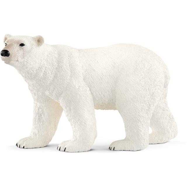 Polarni medved
