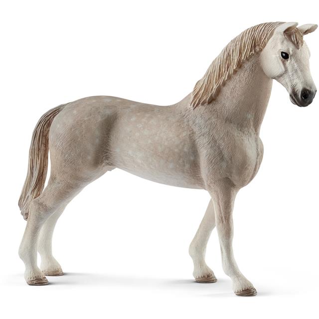 Gelding, kobila
