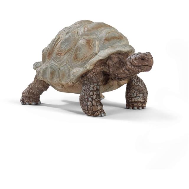 Schleich Želva, velika 7,8 cm x 4,3 cm x 4,1 cm