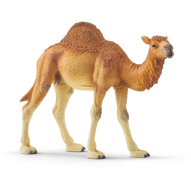 Schleich Kamela